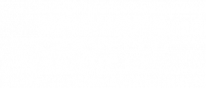 Cuore cervello
